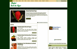 manfaat-buah-dan-sayur.blogspot.sg