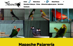 mapachepajareriayacuario.com