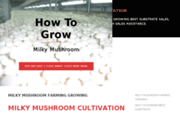 milkymushroomcultivation.in