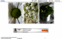 moana10.canalblog.com