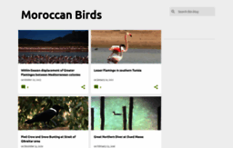 moroccanbirds.blogspot.com