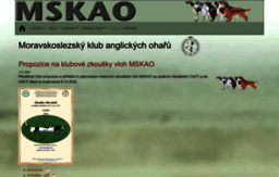 mskao.cz
