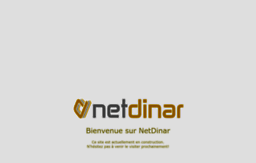 netdinar.com