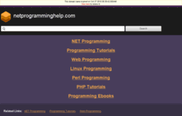 netprogramminghelp.com
