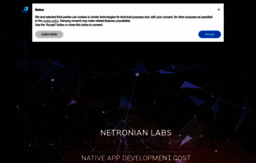 netronian.com