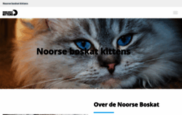noorseboskatkittens.nl