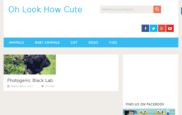 ohlookhowcute.com
