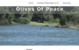 olivesofpeace.org