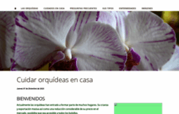 orquideasweb.com