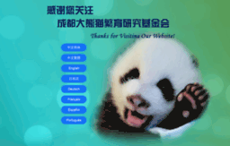 pandafoundation.org