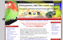 parrot-bird.com
