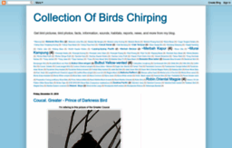 pendy-birds-collection.blogspot.com