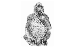 perplexedproductions.com