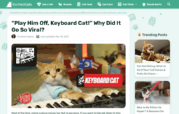 playhimoffkeyboardcat.com