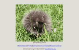 porcupine.org