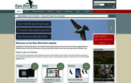rarebirdalert.co.uk