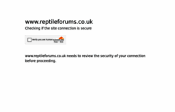 reptileforums.co.uk