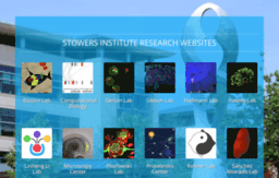 research.stowers.org