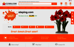 steping.com