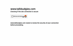 talkbudgies.com