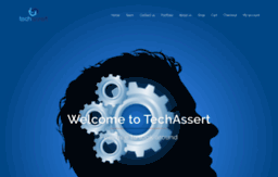 techassert.com