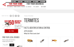 termites101.org