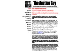 theauctionguy.com
