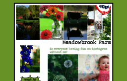 themeadowbrookblog.blogspot.com