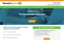 thesearchservice.com