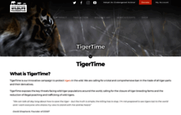 tigertime.info