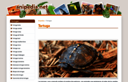 tortugas.anipedia.net