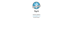tty11.com