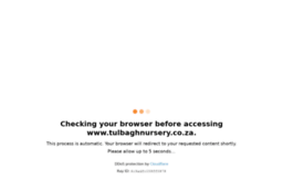 tulbaghnursery.co.za
