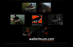 wallerforum.com