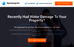 water-damage-pro.com