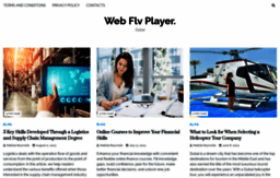 web-flv-player.com