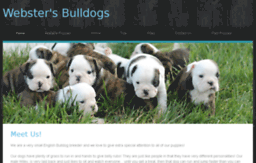 webstersbulldogs.com
