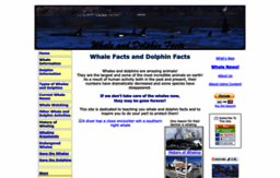 whale-and-dolphin-facts.com