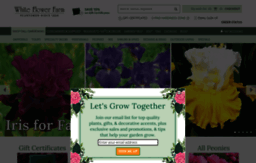 whiteflowerfarm.com