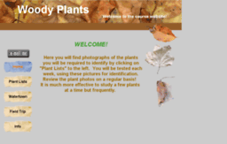 woodyplants.homestead.com