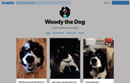 woodythedog.com
