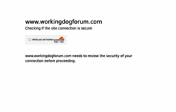 workingdogforum.com