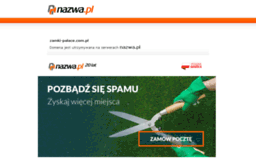 zamki-palace.com.pl