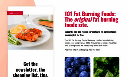 101fatburningfoods.com