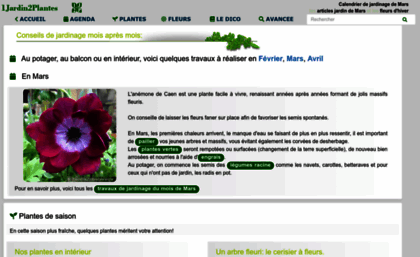1jardin2plantes.info