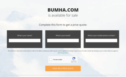 2013.bumha.com