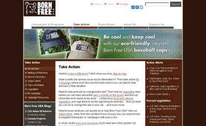 action.bornfreeusa.org