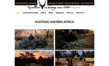 africanhuntingsafaris.com