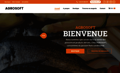 aggrosoft.com