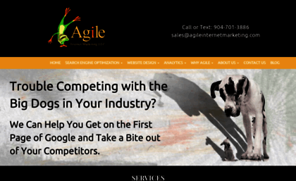 agileinternetmarketing.com